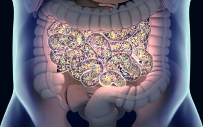 Le microbiote intestinal une piste sérieuse pour comprendre l’origine de nombreuses maladies